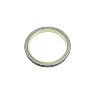 Сальник (48 x63.1 x4 mm) пальца задней рукояти Case 570