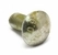 Болт M12x25, Gr.8.8 с квадратным подгол