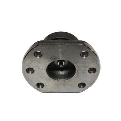 Шкворень нижний (5H.2120670012/5H.2120670004/564898/Z101746), DANA