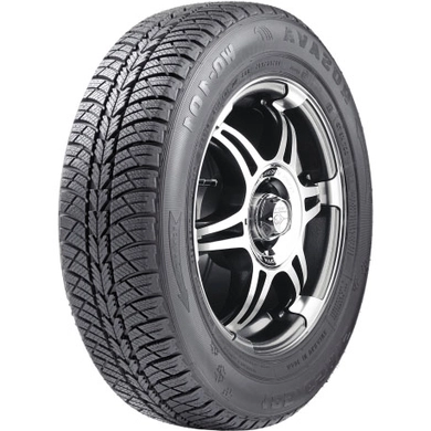 Шина 155/70R13 WQ-101 75T Tubeless (БцШЗ) зима