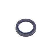 Кольцо г/цилиндра (24х32х6)(18AP003387) Agri Parts, Claas Dom.118/108, Lex.570, Meg.204/203/218/208,