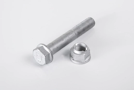 Болт M20x120 (Peters) SAF з гайкою