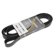 Пас 2548-8PK (DAYCO)