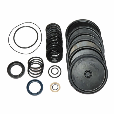 Ремкомплект насоса (6 диафрагм+2 сальника+все кольца) BP280K (Берту) BERTHOUD