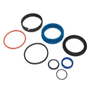 Комплект уплотнений 100-50 BURNSIDE/WEBER (00130572), Horsch