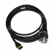 Кабель соед. DT(31m)-AMP(6f), Horsch