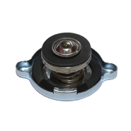 Кришка радіатора (83957211), T8040 / T8.390 / 2188/7240/8950 / MX