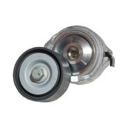 Натяжитель ремня MAN TGA, TGS, TGX (D2066LF01-D3876LF02) (12.00-) (SKF)