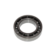 Підшипник диференціалу заднього мосту P4110