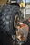 Шина 23.5R25 ELR 3100 E3/L3 185B/195A2 Tubeless (Ascenso)