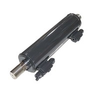 Цилиндр гидравлический DZ 80-36-250, LEEB, Horsch