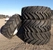 Шина с/х 650/65R38 RAD65 Maximo 166D Tubeless (Trelleborg)