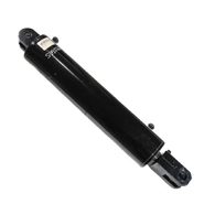 Цилиндр гидравлический DZ110/50x0450-0750 D30 D30, Лемкен
