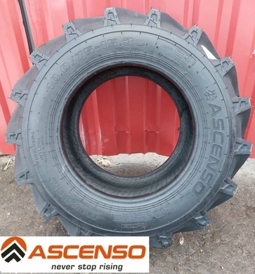 Шина с/г 10.0/75-15.3 (260/75-15.3) IMB 162 10 сл 123A8 Tubeless (Ascenso)