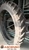 Шина с/г 300/95R52 TDR 900 Steel Belted 156D Tubeless (Ascenso)